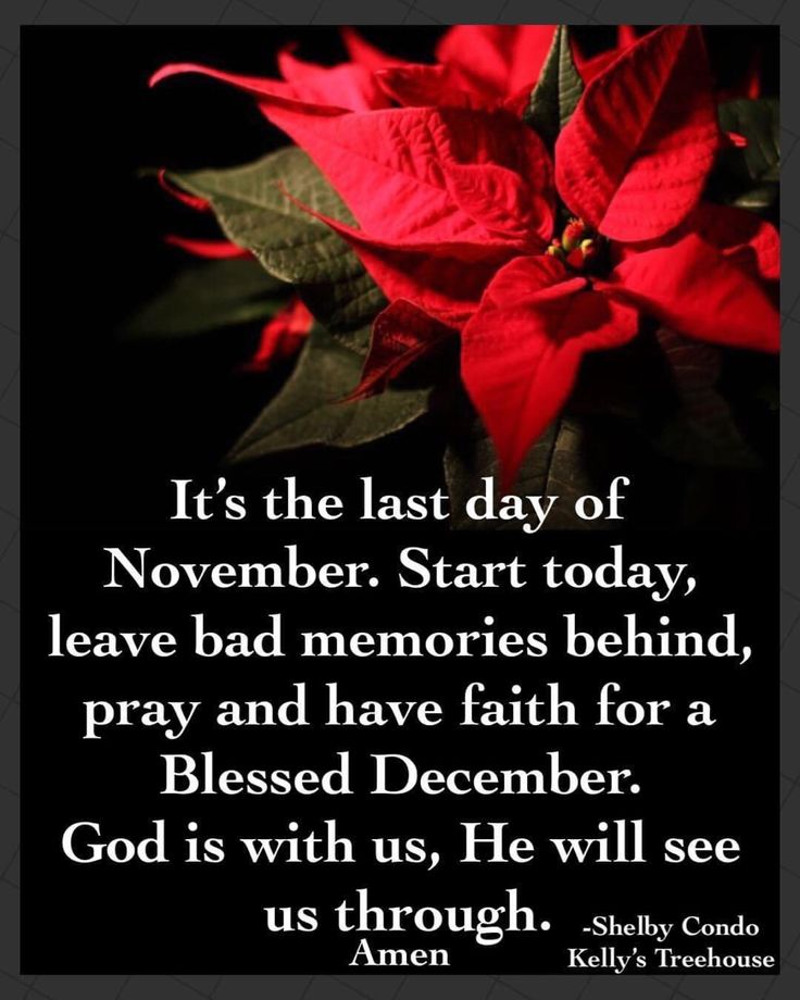 a red poinsettia with the words it's the last day of november start today leave bad memories behind, pray and have faith for a