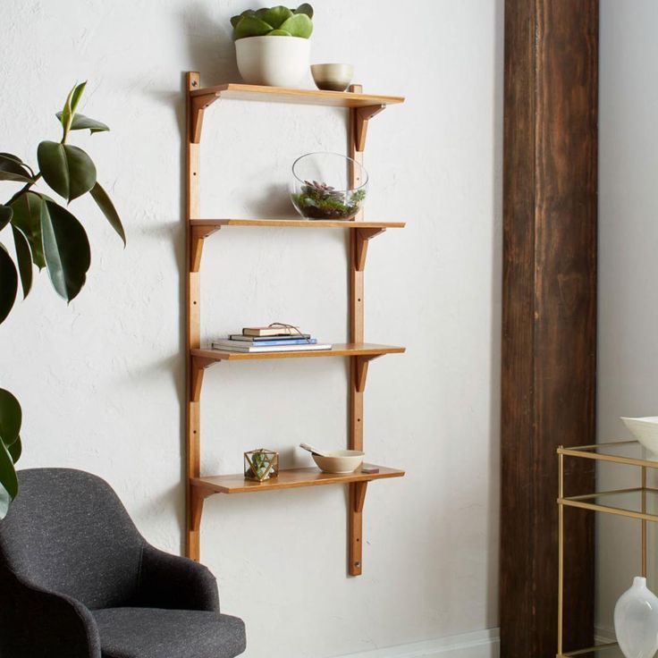 a living room filled with furniture and a potted plant on top of a shelf