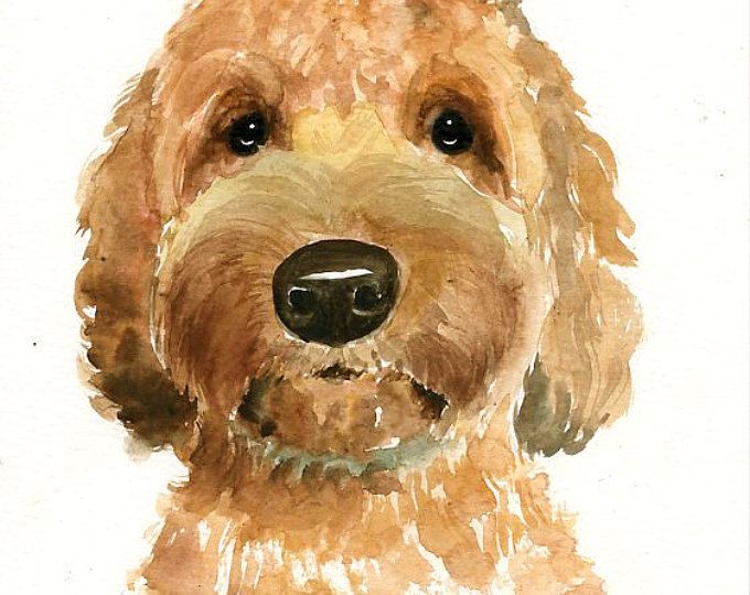 a watercolor painting of a dog's face