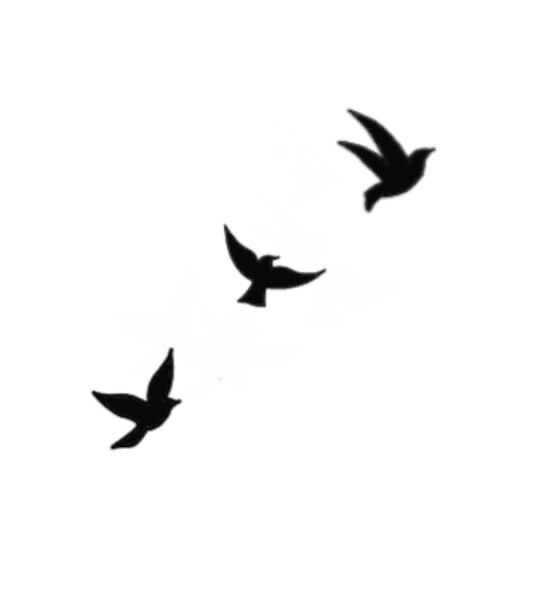 three birds are flying in the sky together