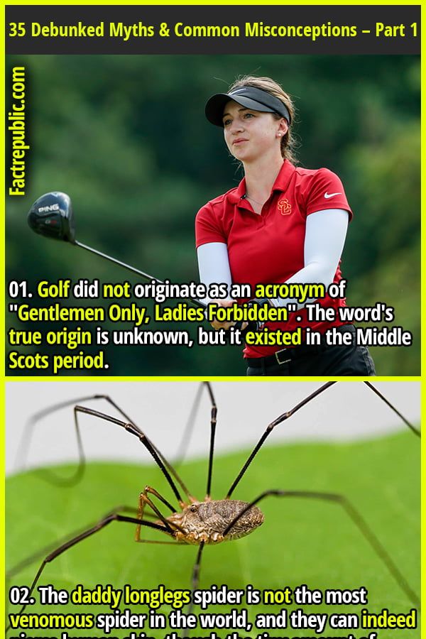 two different pictures with the same caption for each one, and an image of a spider