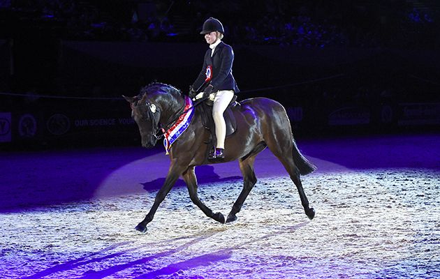 a woman riding on the back of a brown horse in an indoor arena at night