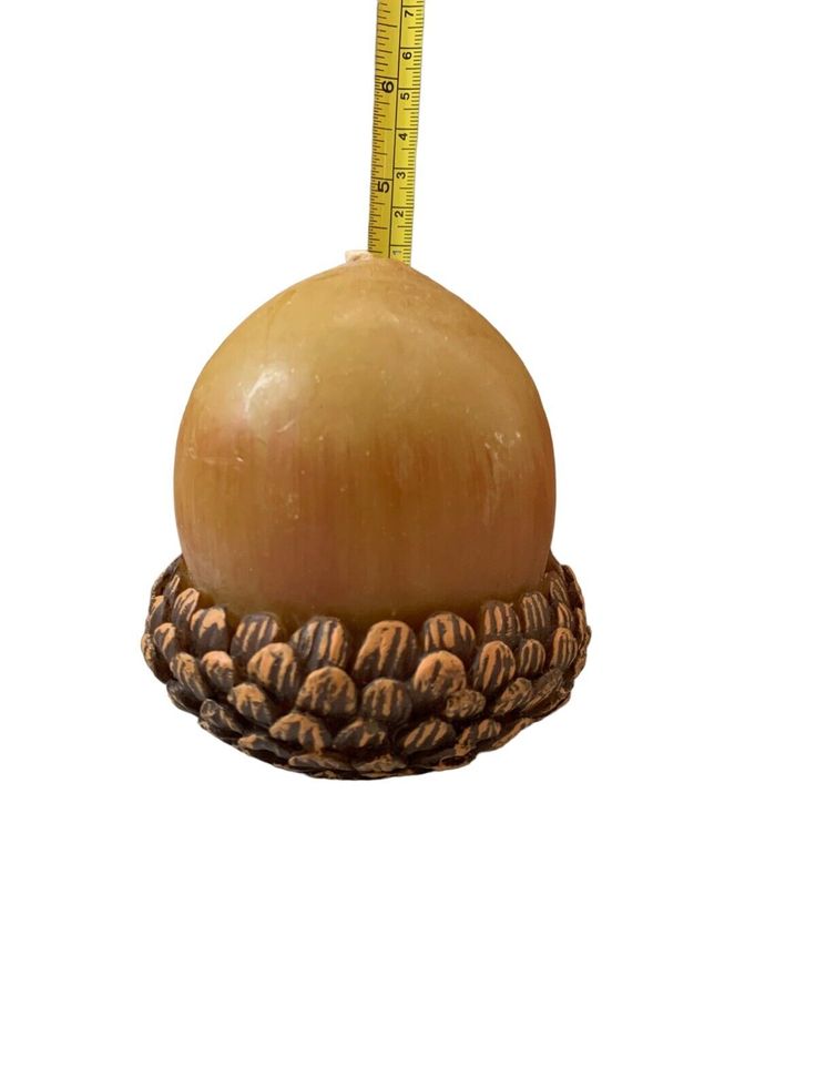 an onion sitting on top of a wooden base with a measuring tape in front of it