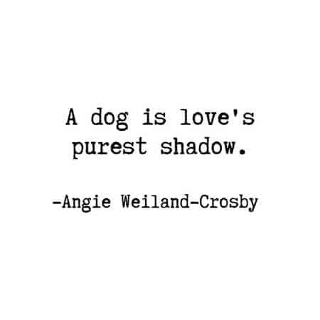 a dog is love's purest shadow by angie weiland - crossby