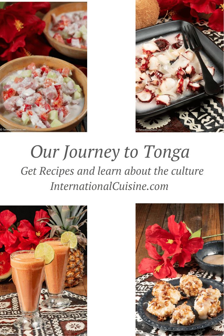 the cover of our journey to tongga get recipes and learn about the culture