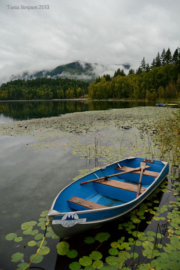 a small blue boat floating on top of a lake surrounded by lily pads and trees