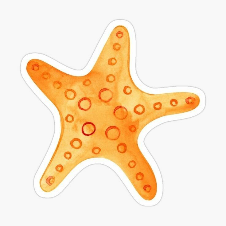 an orange starfish sticker with bubbles on it's back and side, against a white background