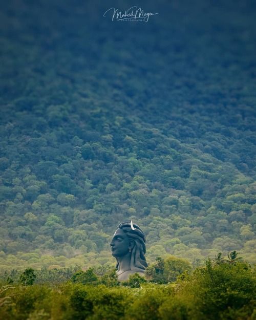 there is a large statue in the middle of some bushes and trees with a mountain behind it