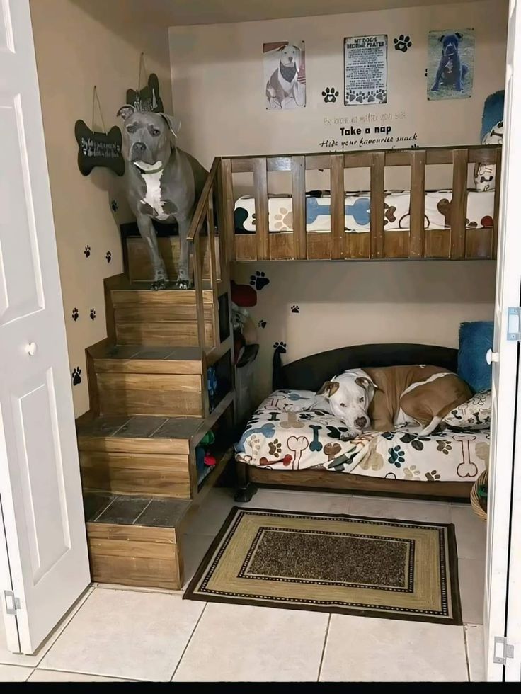 a dog laying on top of a bed in a room with bunk beds and stairs