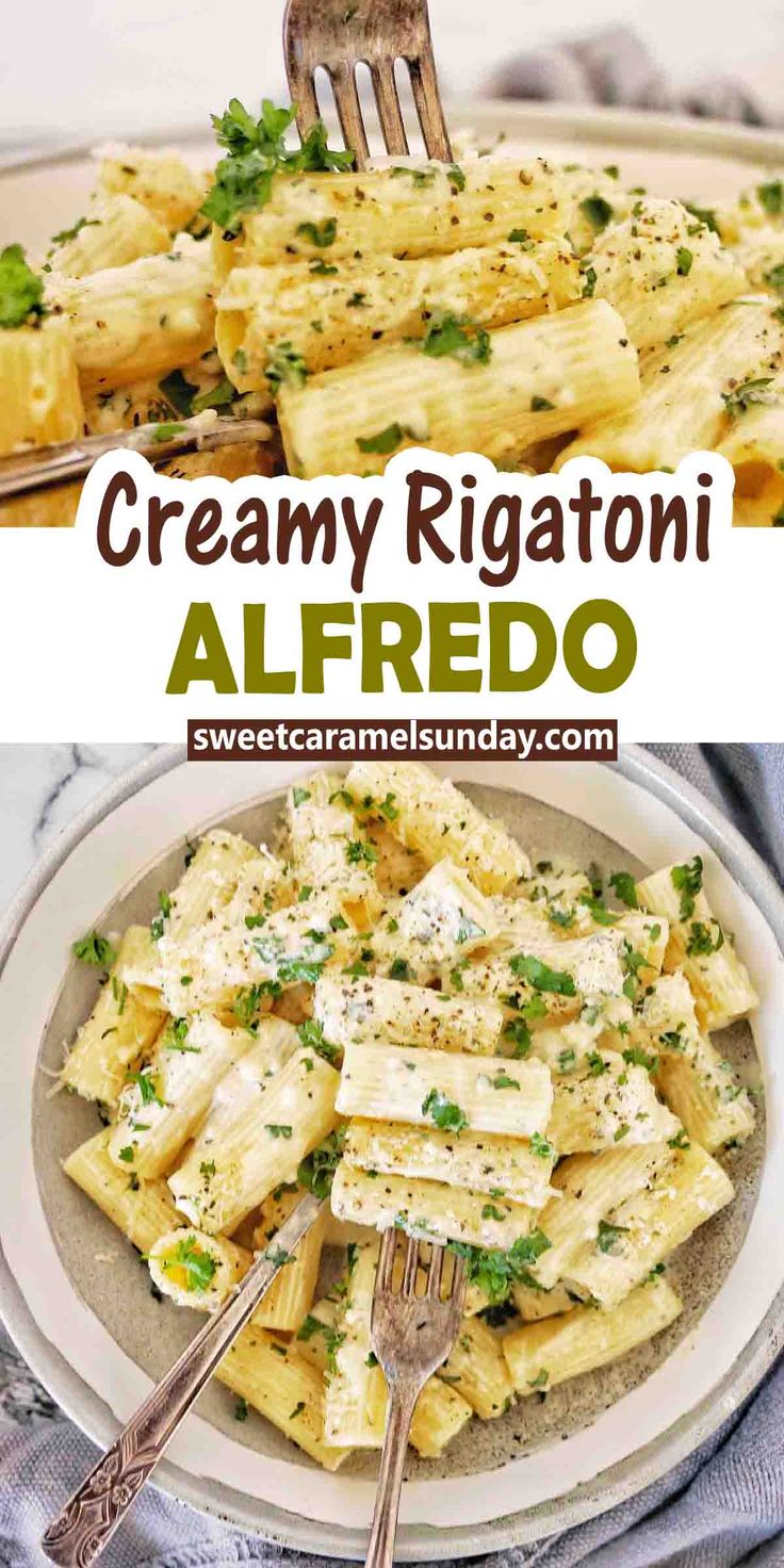 creamy rigatoni alfredo with parmesan cheese and fresh herbs on the side