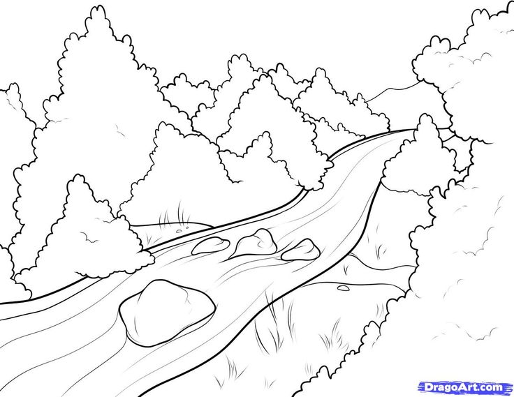 a drawing of a river in the woods