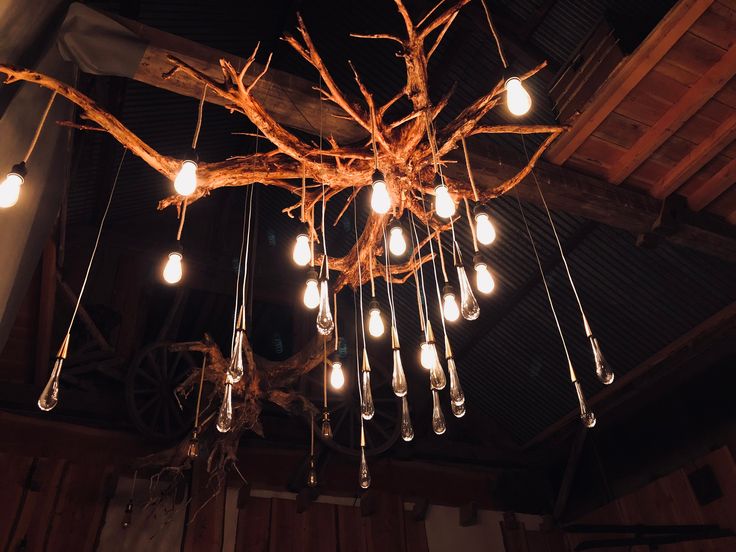 a chandelier made out of branches with light bulbs hanging from it