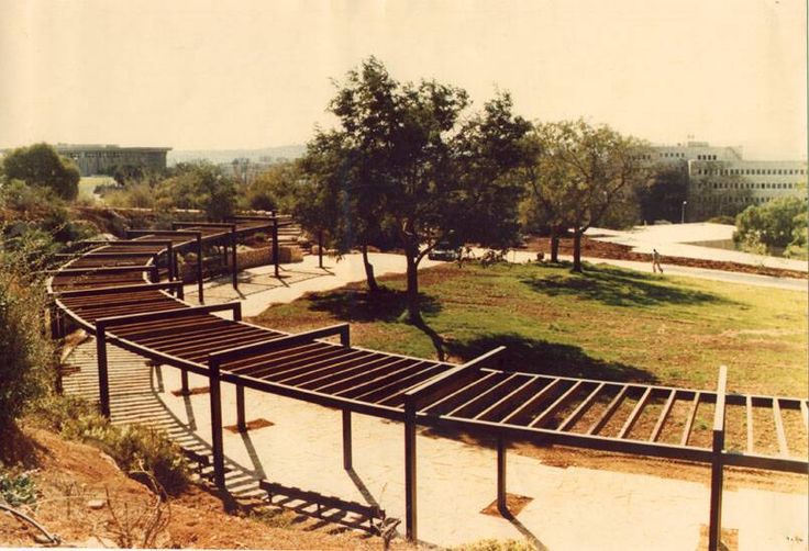 an old photo of a park with benches and trees