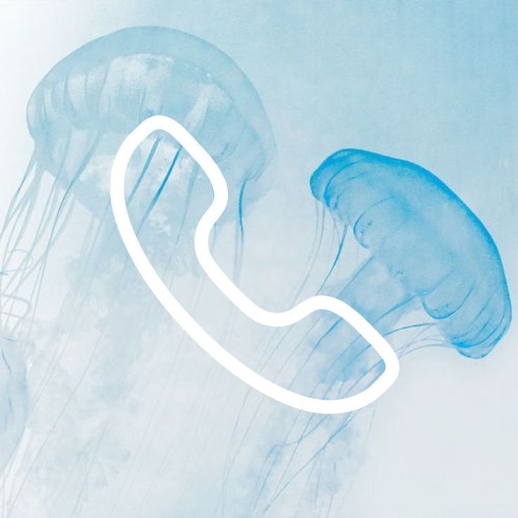 two jellyfishs are swimming in the water and one is talking on the phone