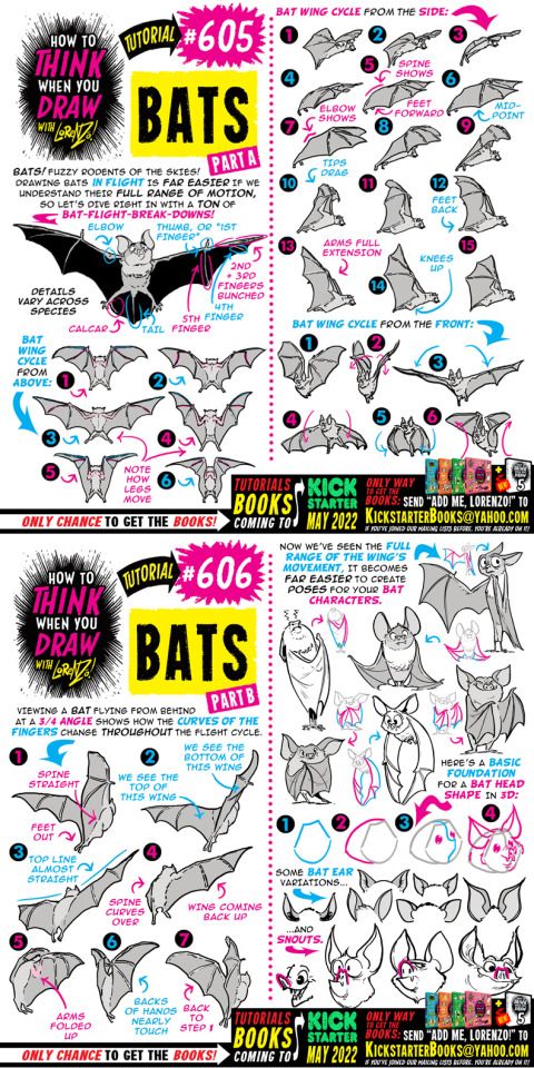 how to draw bats for kids and adults