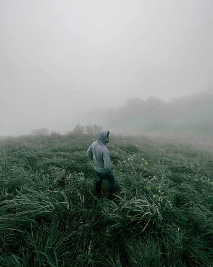 a person standing in tall grass on a foggy day