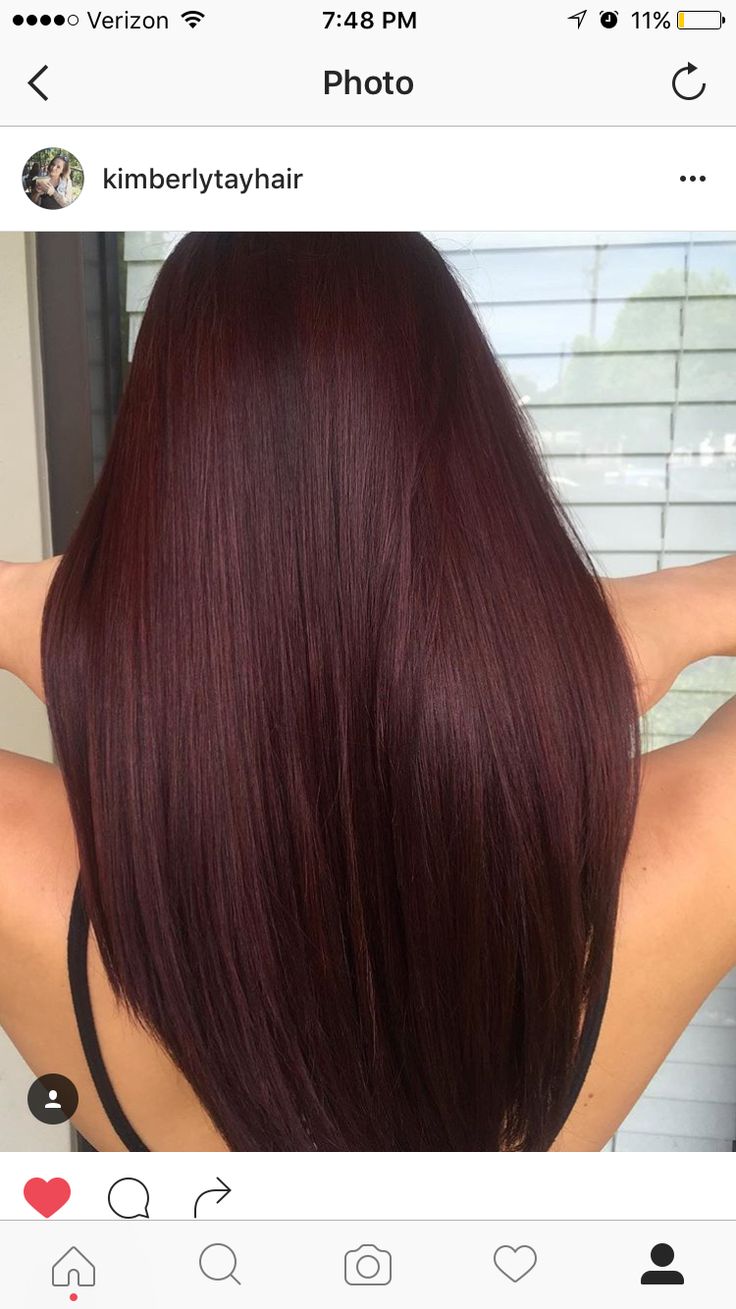 Burgundy Tinted Hair Dark Brown, Red Tinted Hair Brunette, Bungurdy Hair, Deep Red Burgundy Hair Color, Dark Cranberry Hair, Black With Red Tint Hair, Dark Red Hair Brunettes, Dark Red Box Dye, Velvet Brown Hair Color