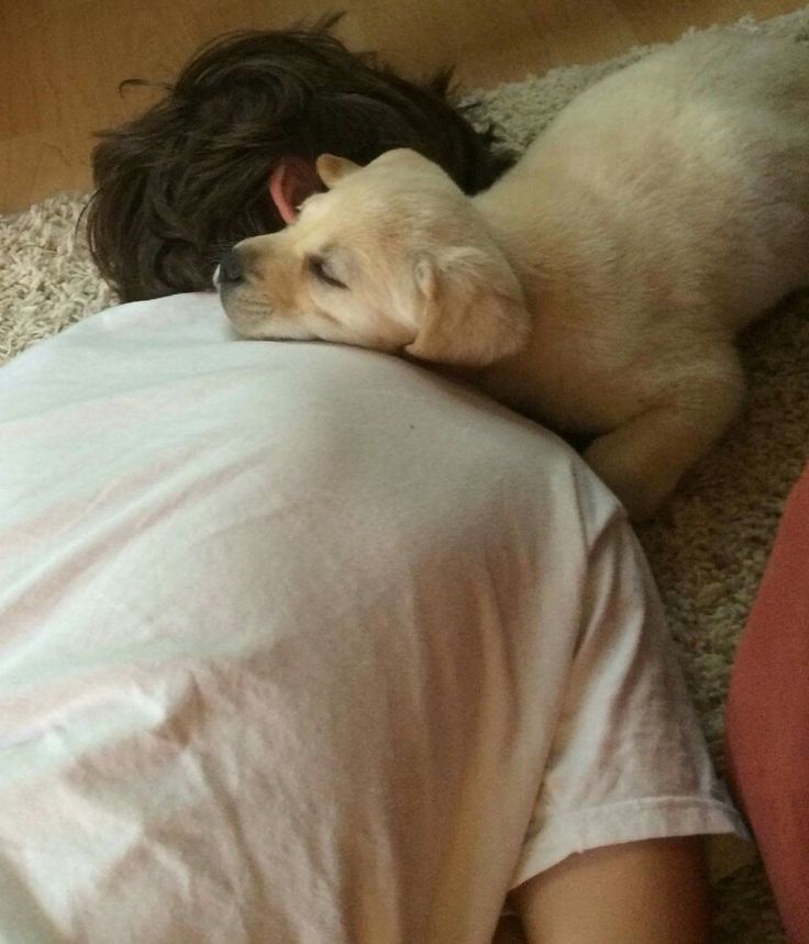 a man laying on the floor next to a dog with it's head on his chest