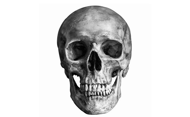 a human skull is shown in black and white, with the lower half missing from it's face