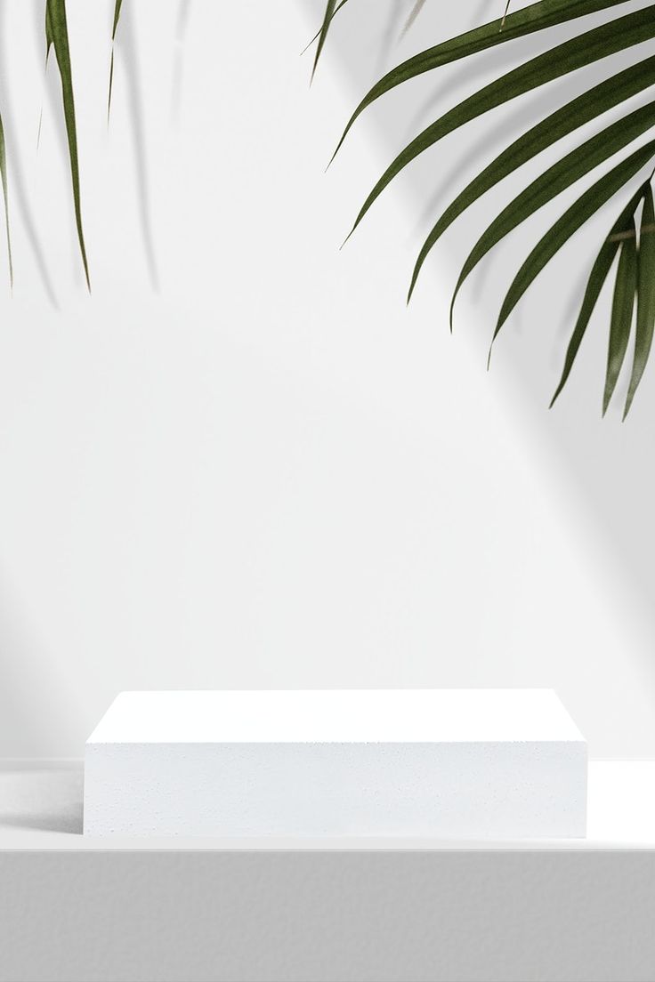 a white table topped with a vase filled with green leaves next to a palm tree