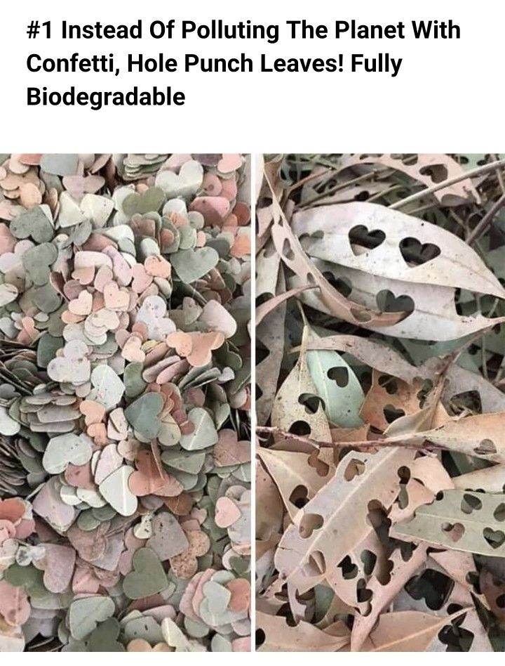 two pictures of plants and leaves with the caption'flowerdale estate is feeling creative, what a sweet, australian idea in the repellement of see more