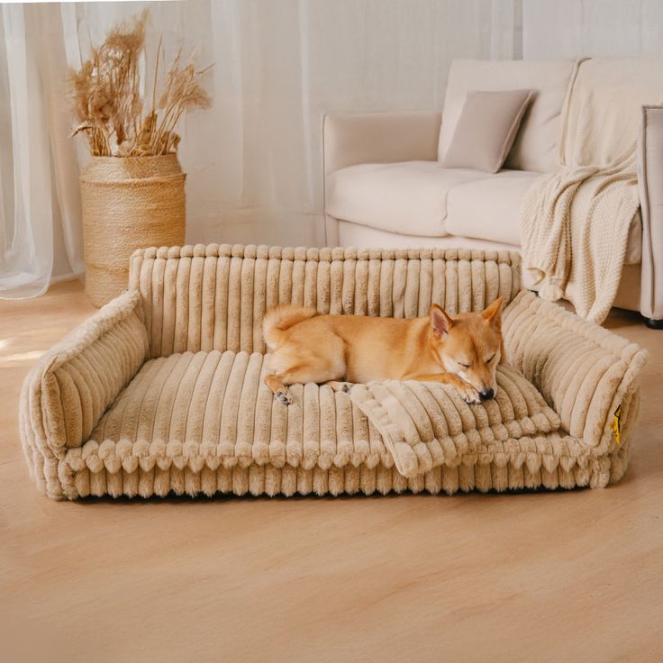 a dog laying on top of a bed in a living room next to a couch