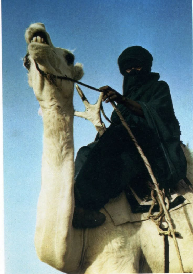 a man riding on the back of a white camel in front of a blue sky