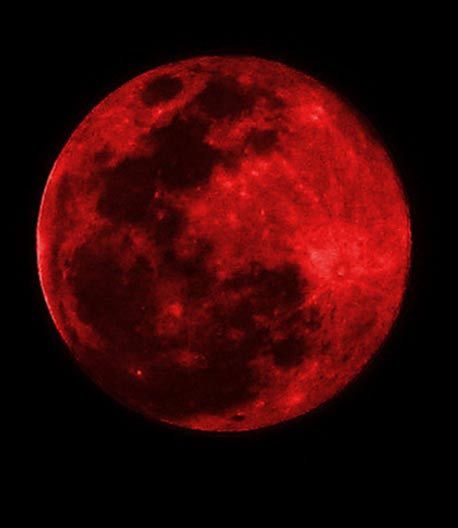 the full red moon is seen in the dark sky