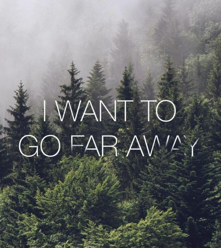 I want to go far away California Forest, Citation Nature, California Wallpaper, Rainy Afternoon, Free Nature, Iphone 6 Wallpaper, Foggy Forest, Quote Iphone, Wallpaper Iphone Quotes