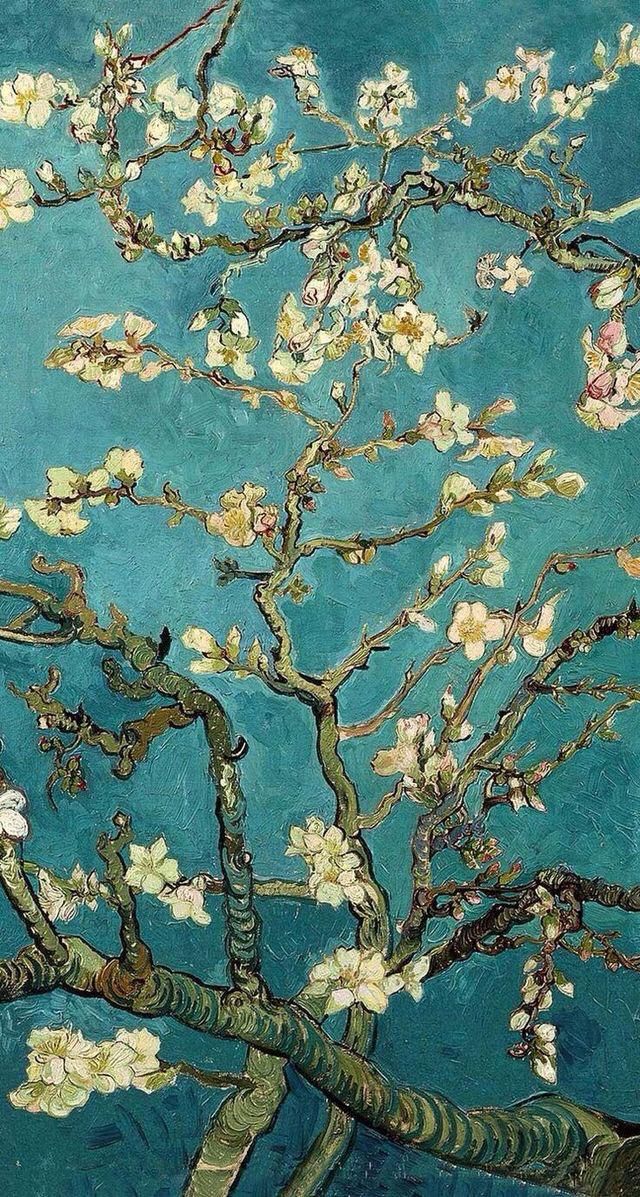 a painting of an almond tree with white flowers on it's branches and the words van goght written in red