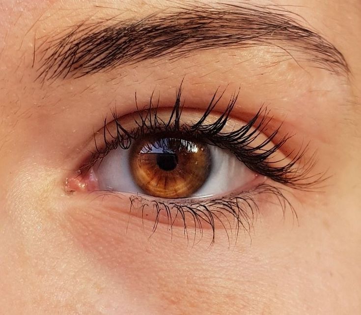 an eye with long lashes and brown eyes