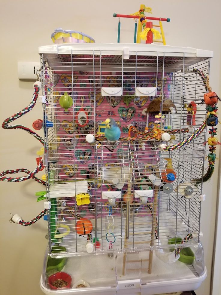 a large bird cage filled with lots of toys