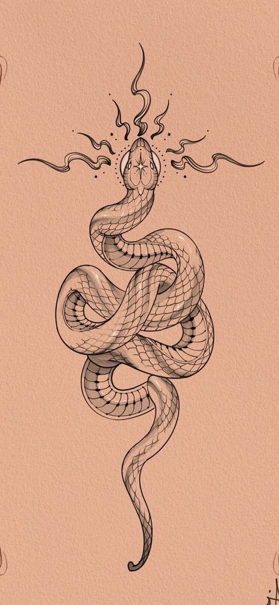 Spiritual Transformation Tattoo, Mens Tattoo Templates, Snake Line Art Tattoo, Back Snake Tattoo Women, Medusa Back Tattoo Women, Tattoo Style Drawings Sketches, Tattoo Designs Drawings For Men, Snake Tattoo Men, Snake Tattoo Sketch