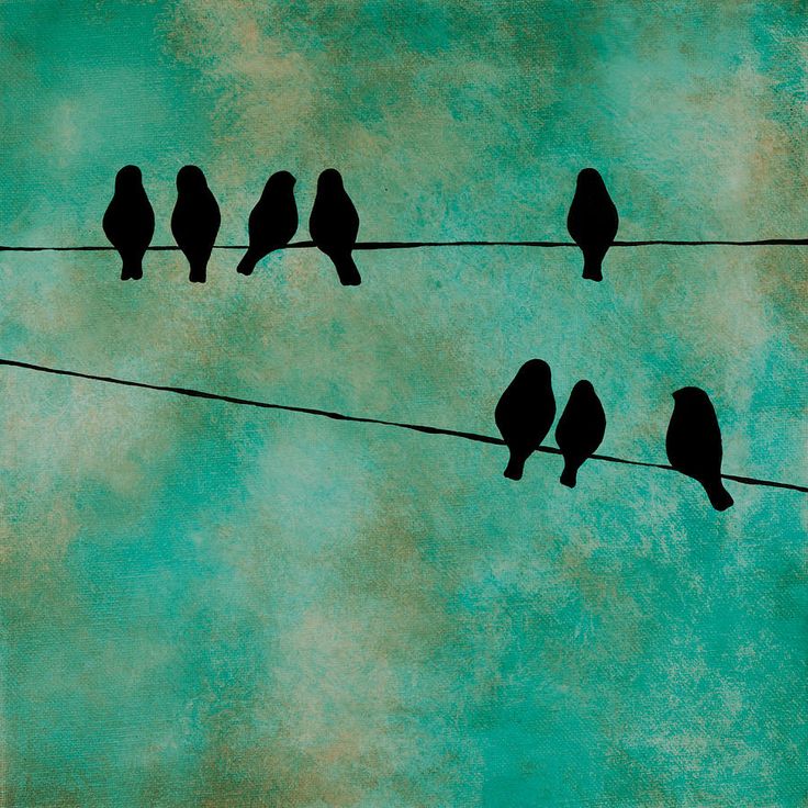 five birds sitting on a wire and one is black