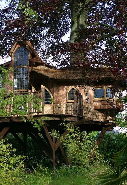 a tree house built into the side of a tree