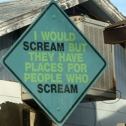 a green sign that says i would scream but they have places for people who scream