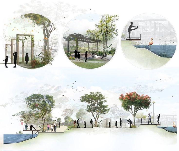 four different views of people walking and sitting in the park, with trees on either side