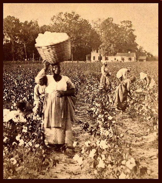 SLAVES, EX-SLAVES, and CHILDREN OF SLAVES IN THE AMERICAN SOUTH, 1860 -1900 (10) by Okinawa Soba, via Flickr Historia Universal, By Any Means Necessary, Thomas Jefferson, African History, West Indies, African American History, Black American, White Photo, History Facts