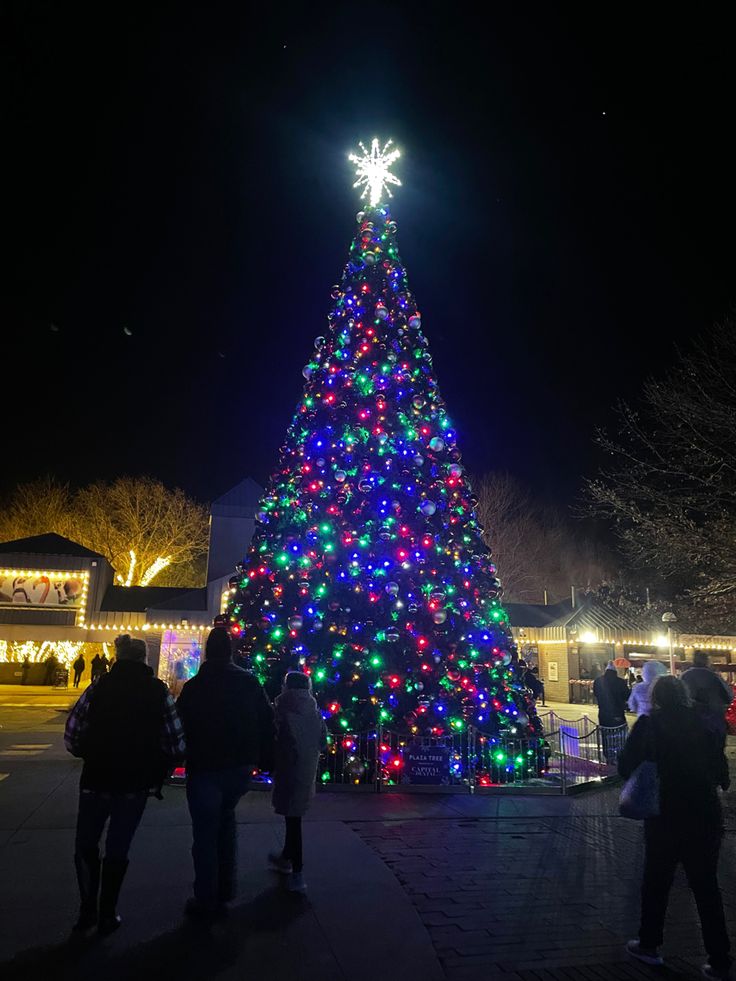 a large christmas tree is lit up with multicolored lights and people are standing around it