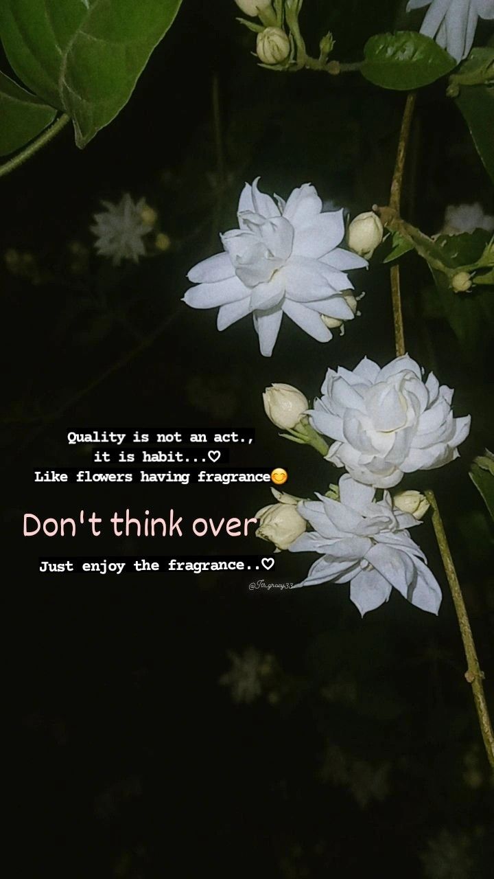 some white flowers with a quote on it