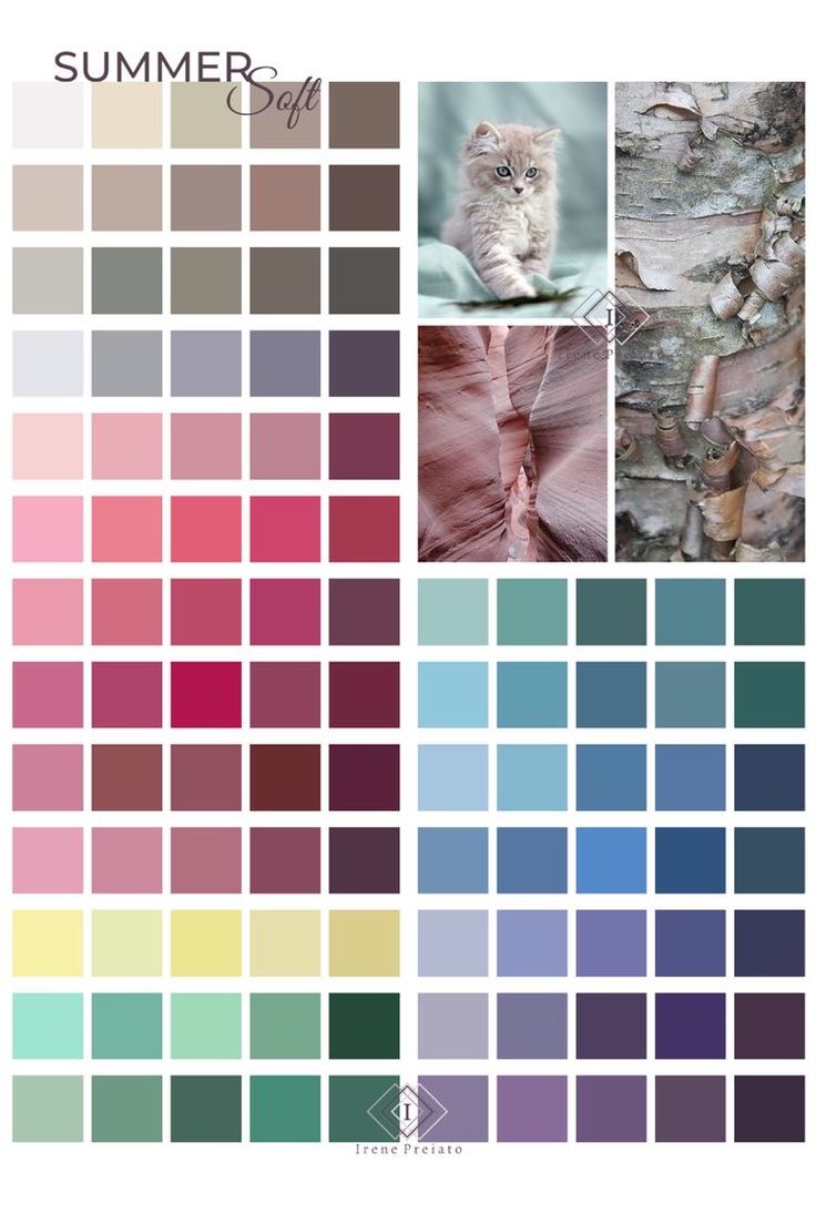 the color scheme for summer is shown here