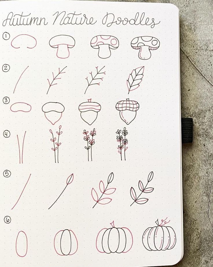 an open notebook with some drawings on the cover and writing in red ink that says autumn nature doodles