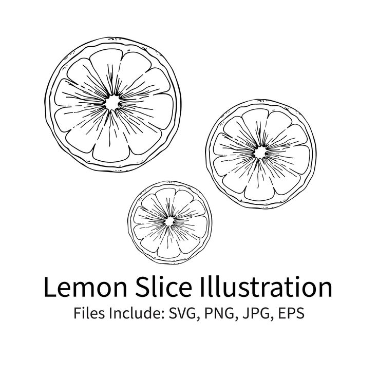 the lemon slice illustration is shown in black and white