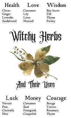 Herbs And Their Uses, Herbs And Plants, Witch Herbs, Green Witchcraft, Magia Das Ervas, Wiccan Magic, Earth Element, Magic Spell Book, Magic Herbs