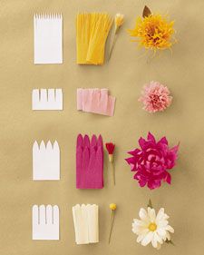 several different types of flowers and combs on a table