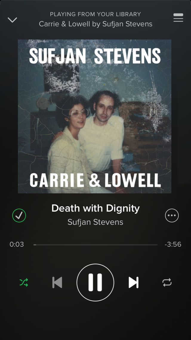 an audio player with the cover art for susan stevens's album, carrie & lovell