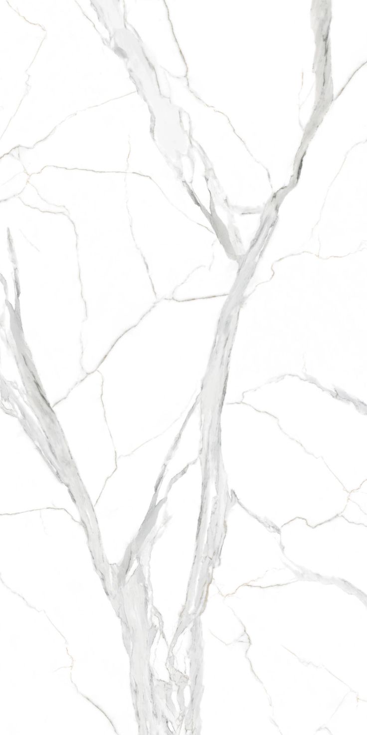 a white marble textured wallpaper with grey veiners and lines on the edges