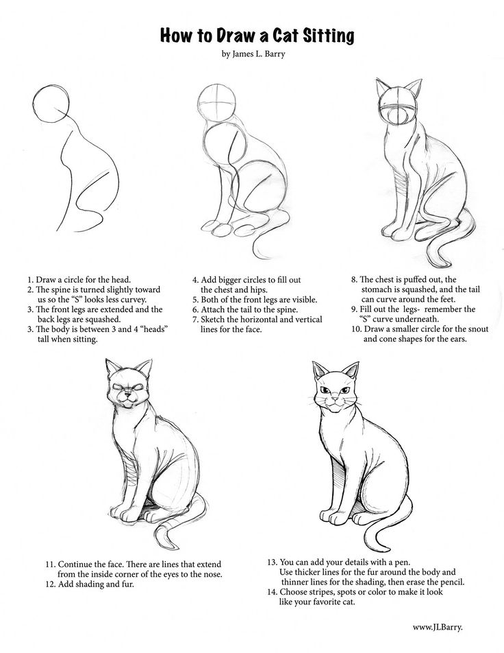 how to draw a cat sitting step by step drawing instructions for kids and beginners