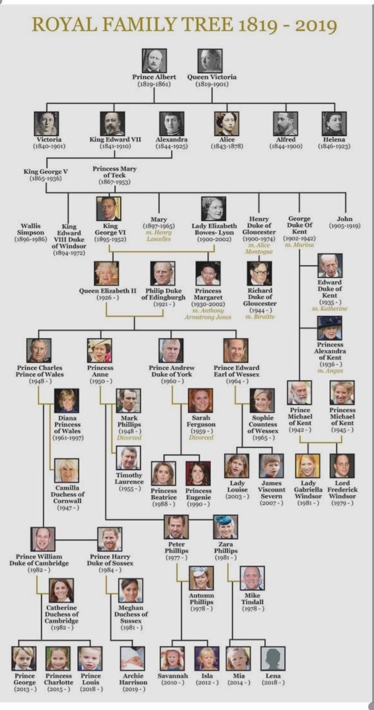 the royal family tree is shown in this image