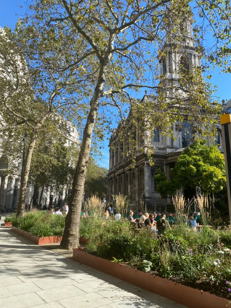 people are sitting on benches in front of a building with a clock tower and trees